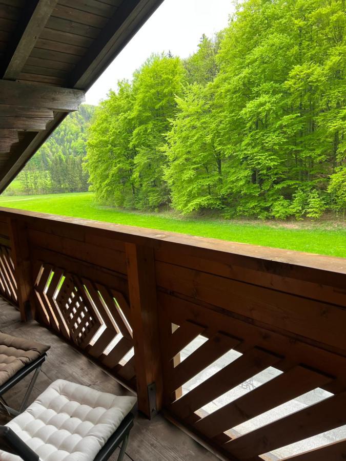 フシュル・アム・ゼー Haus Bergerヴィラ エクステリア 写真